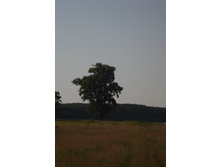 25.08.2010 19:46:03