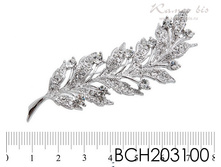 BCH203100.jpg