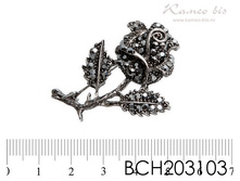 BCH203103.jpg