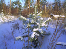 PICT0067.JPG