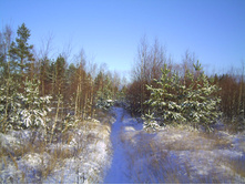 PICT0068.JPG