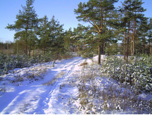 PICT0078.JPG