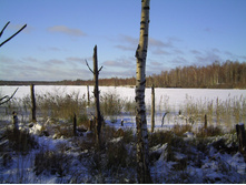 PICT0081.JPG