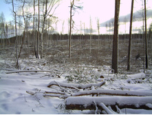 PICT0084.JPG
