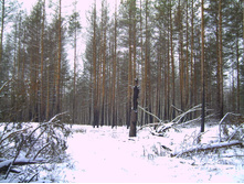PICT0104.JPG