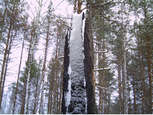 PICT0108.JPG