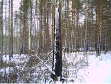 PICT0109.JPG