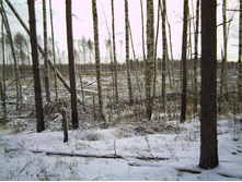 PICT0110.JPG
