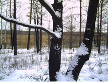 PICT0120.JPG