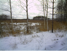 PICT0123.JPG
