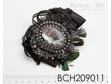 BCH209011.jpg