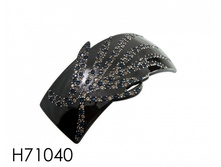 H71040.jpg
