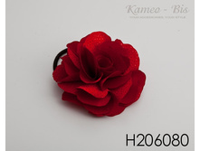 H206080.jpg