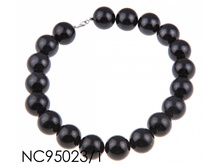 NC95023_1.jpg