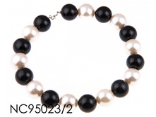 NC95023_2.jpg