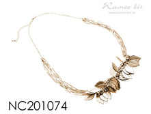 NC201074.jpg