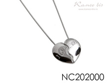 NC202000.jpg