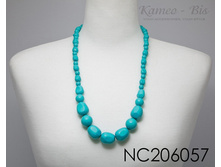 NC206057.jpg