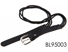 BL95003.jpg