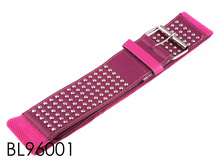 BL96001.jpg