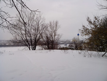 IMG_20130203_115458.jpg