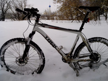 IMG_20130203_115511.jpg