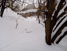 IMG_20130203_115531.jpg