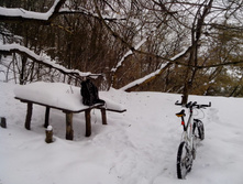 IMG_20130203_115539.jpg