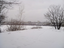 IMG_20130203_115551.jpg
