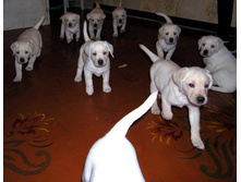 11.01.2009 5:40:53