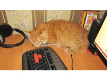 27.08.2010 12:59:09