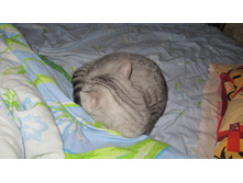 27.08.2010 12:59:48