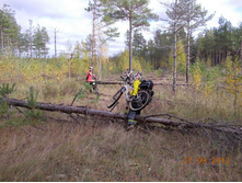 DSCN0301.JPG