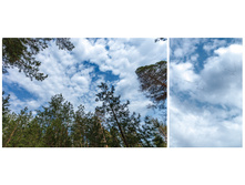 Wood_5_res.jpg