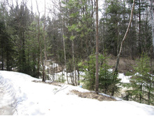 IMG_3770.jpg