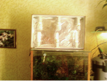 29.08.2010 14:09:45