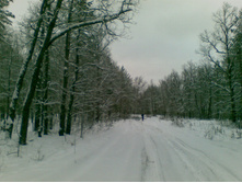 17.01.2009 22:43:32