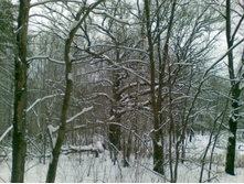 17.01.2009 22:43:58