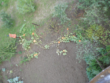 30.08.2010 0:41:59