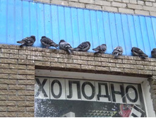 30.08.2010 12:06:56