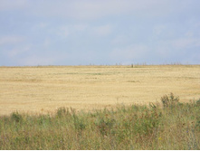 30.08.2010 16:38:34