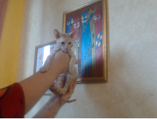 ����0735.jpg