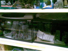 22.01.2009 18:55:35