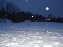 22.01.2009 22:33:26