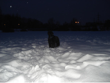22.01.2009 22:34:54