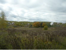 P1250009.JPG
