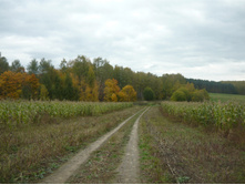 P1250026.JPG