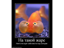 31.08.2010 11:53:11