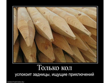 31.08.2010 11:53:30