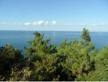 ������� 2012.09.11 09.26.53.JPG